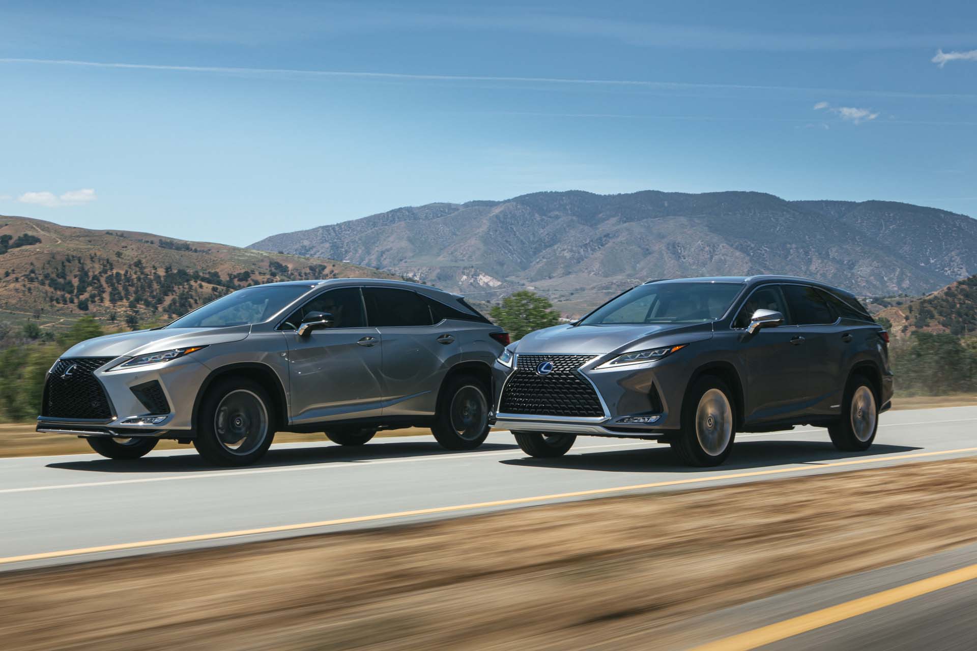 The 2020 Lexus RX